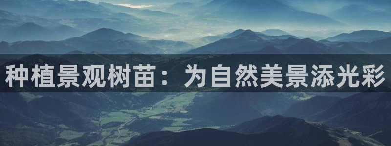 新宝时gg：种植景观树苗：为自然美景添光彩