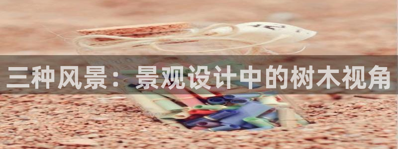 新宝GG的老板