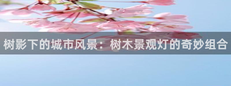 新宝gg联系