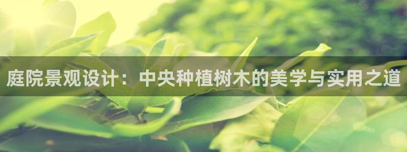 新宝gg游戏