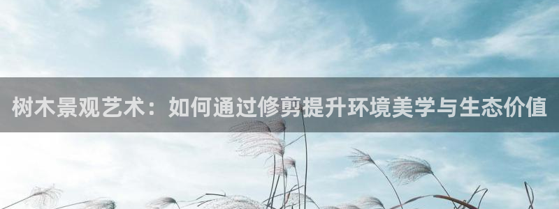 新宝gg如何