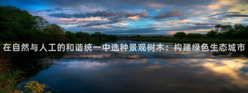 新宝新宝gg开户流程