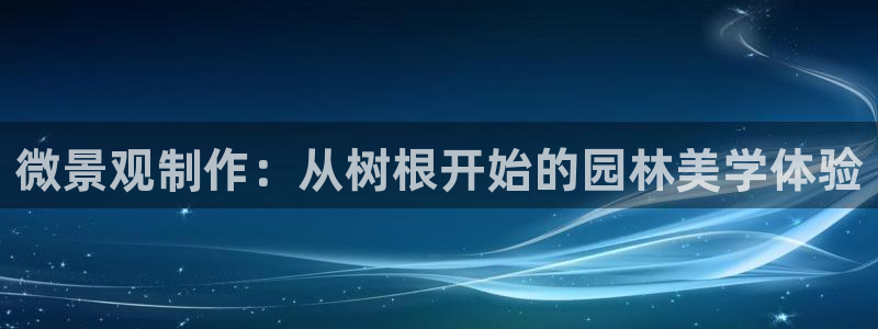 收新宝gg