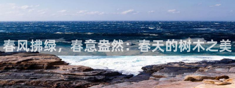宝GG账78778新宝GG俪78778：春风拂绿，春意盎然：春天的树木之美