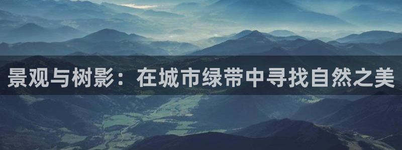 新宝gg真的能赚钱么