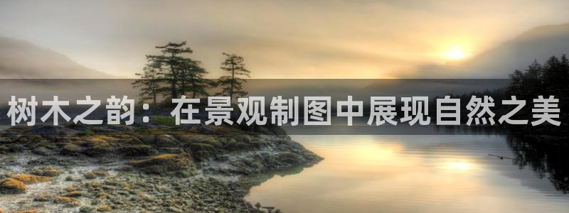 gg新宝创新