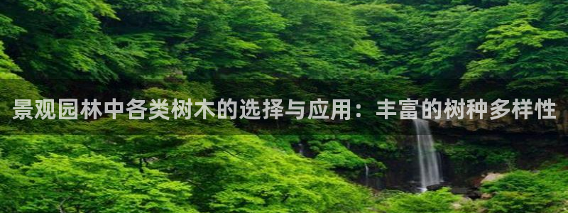 新宝Gg测速地址