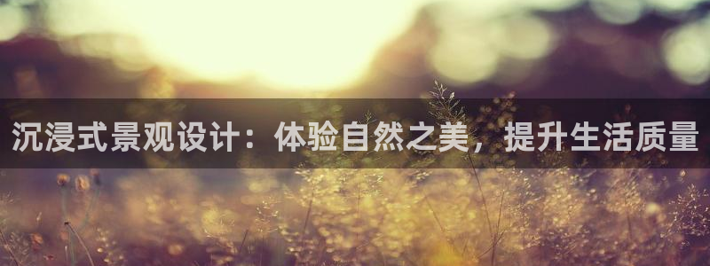 新宝gg平台开发