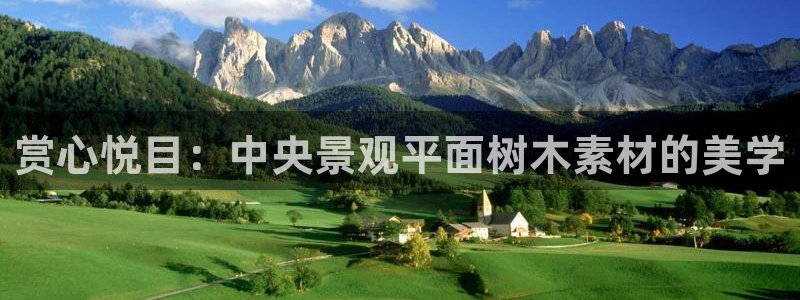新宝gg怎样