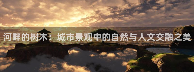 新宝gg奖金