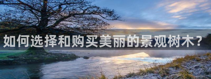 新宝gg怎么做代理