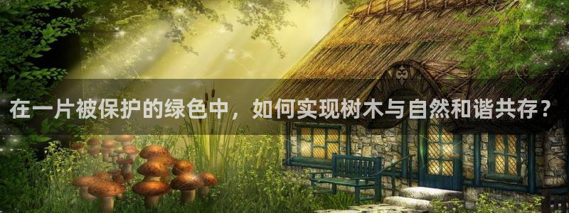 新宝gg怎么样