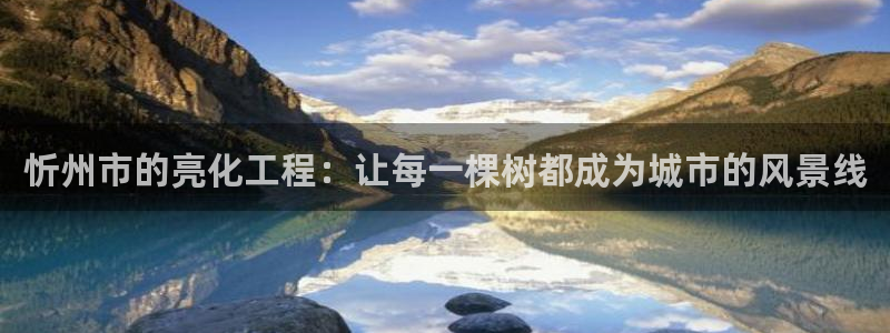 认准新宝gg