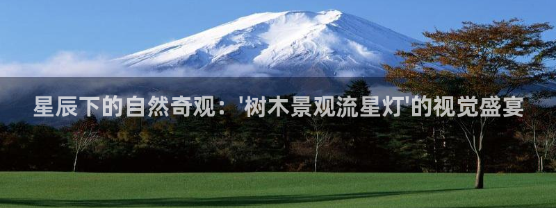 太阳gg和新宝gg
