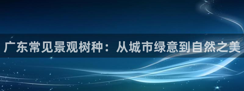 网站是新宝gg