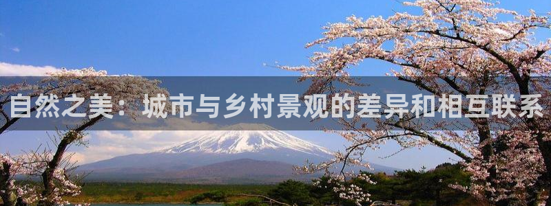新宝gg登陆