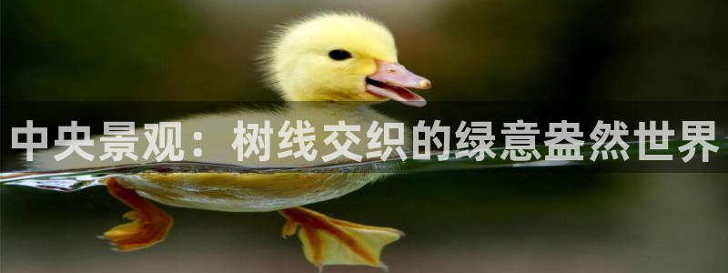 新宝gg 创造：中央景观：树线交织的绿意盎然世界