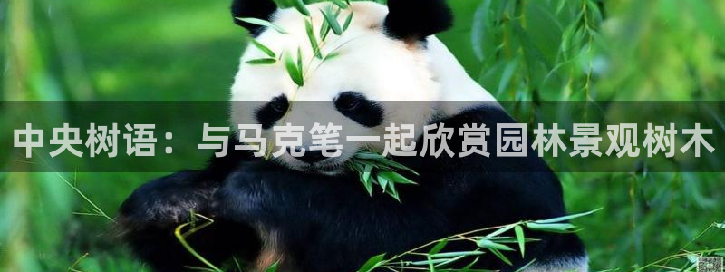 新宝gg娱乐-上鼎狐网