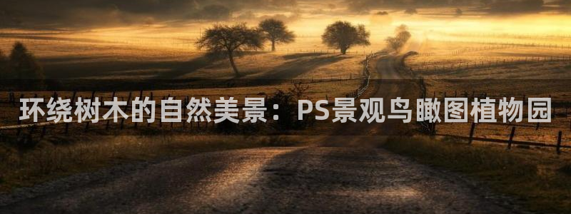 新宝gg 创：环绕树木的自然美景：PS景观鸟瞰图植物园