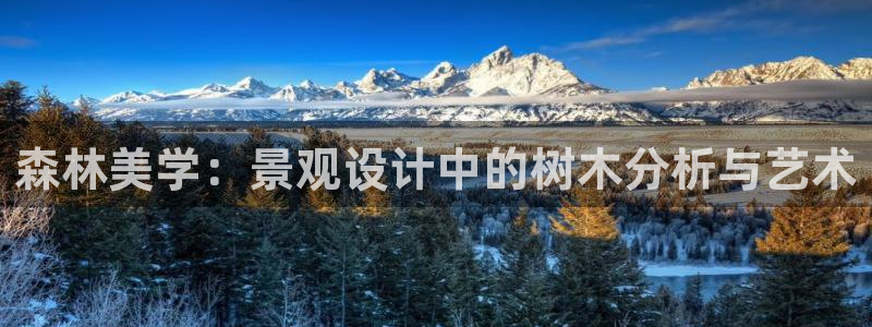 新宝GG官方域名