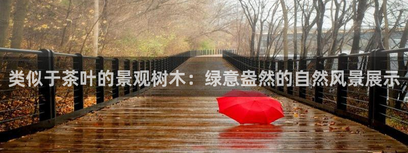 新宝gg赚钱