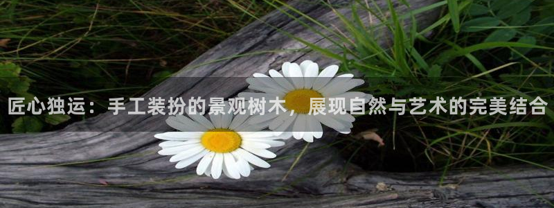 新宝gg--创