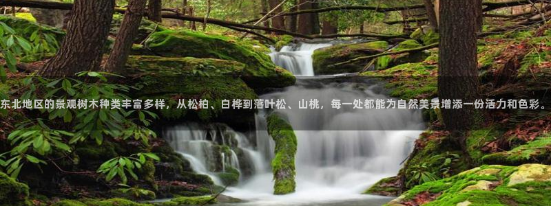 新宝gg信息