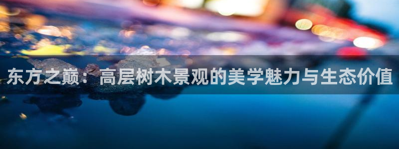 新宝gg平台首页