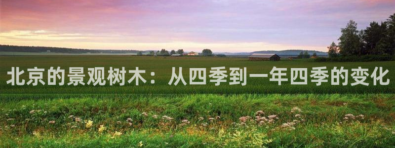 新宝gg   创造奇迹