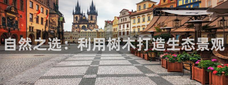 新宝GG官方域名