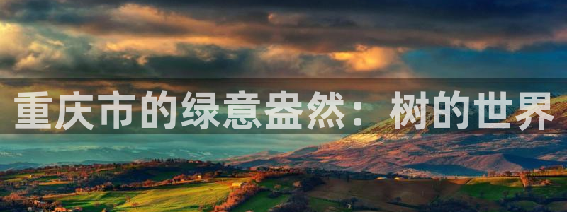 新宝gg金砖彩票