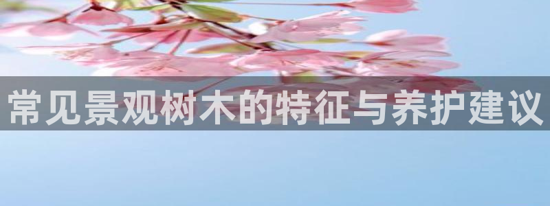 新宝gg一创造奇迹