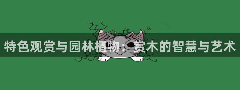 新宝gg龙虎规则