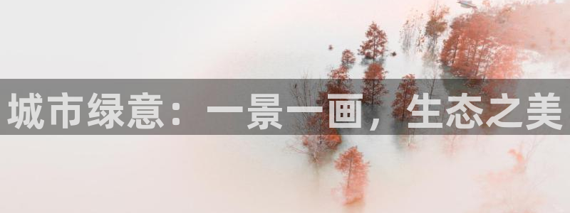 新宝gg娱乐上皇巢网