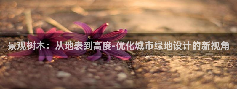 新宝gg下载官网下载