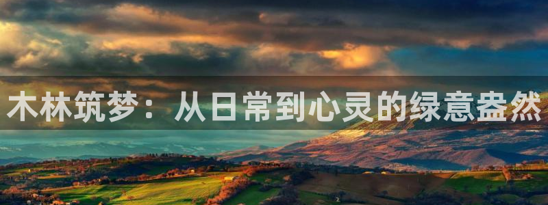 新宝gg招商致胜团队