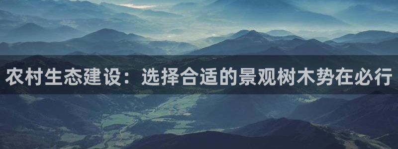 创造奇迹 新宝gg