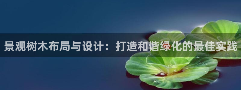 新宝6娱乐新宝gg