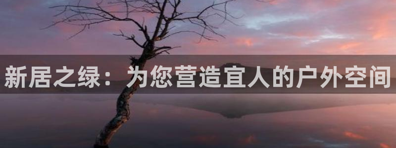 新宝GG官方域名