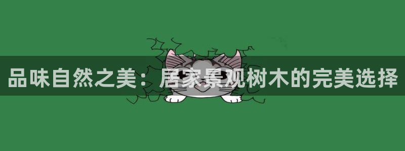 新宝gg创造奇迹下载