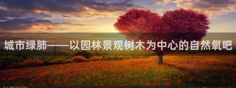 新宝gg   创造奇迹