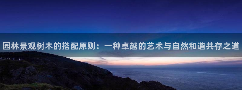 新宝gg主管花木兰