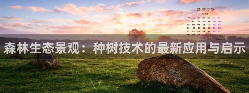 新宝六与新宝gg