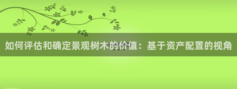 新宝GG都有哪些计划