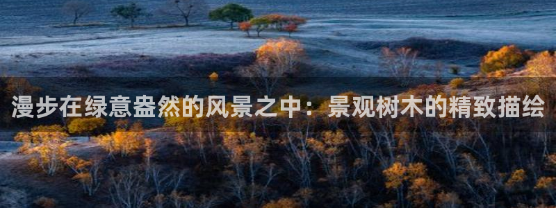 新宝gg创造奇迹登陆