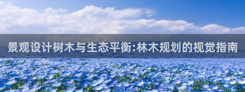 新宝gg用哪个浏览器