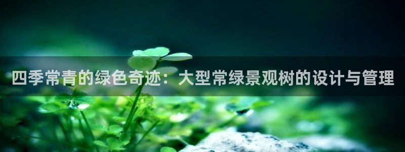 新宝gg官方主管