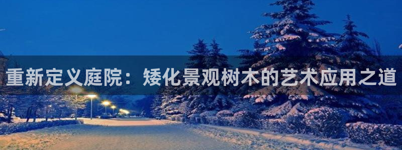 新宝gg娱乐客户端下载