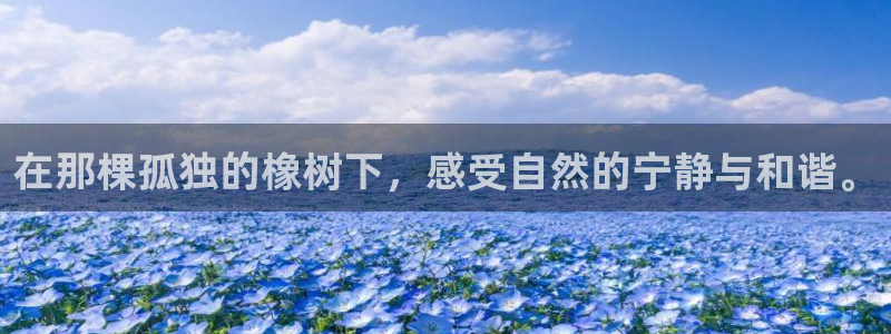 新宝gg手机版下载