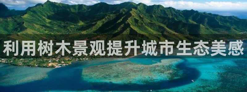 下载新宝gg怎么下载